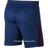 FC Barcelona Shortsit Koti 2017/18