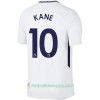 Jalkapallo Peliasut Tottenham Hotspur Kane 10 Koti Pelipaita 2017/18 Lyhythihainen