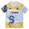 Jalkapallo Peliasut FC Porto Dragon 2025-26 Lyhythihainen Special