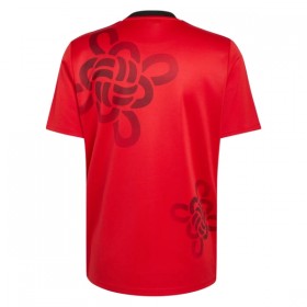 Jalkapallo Peliasut Manchester United Cultural Story 2025-26 Lyhythihainen Special